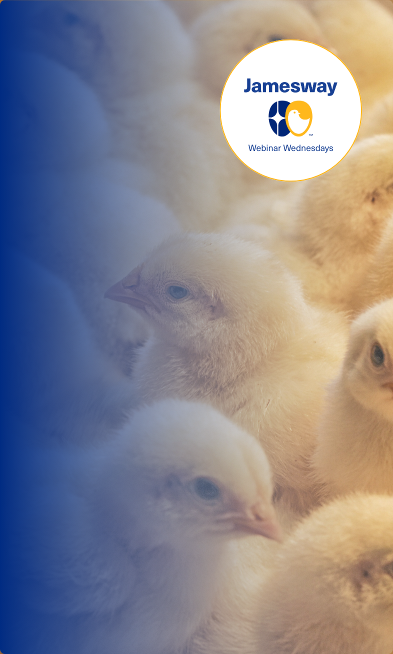 Jamesway webinars