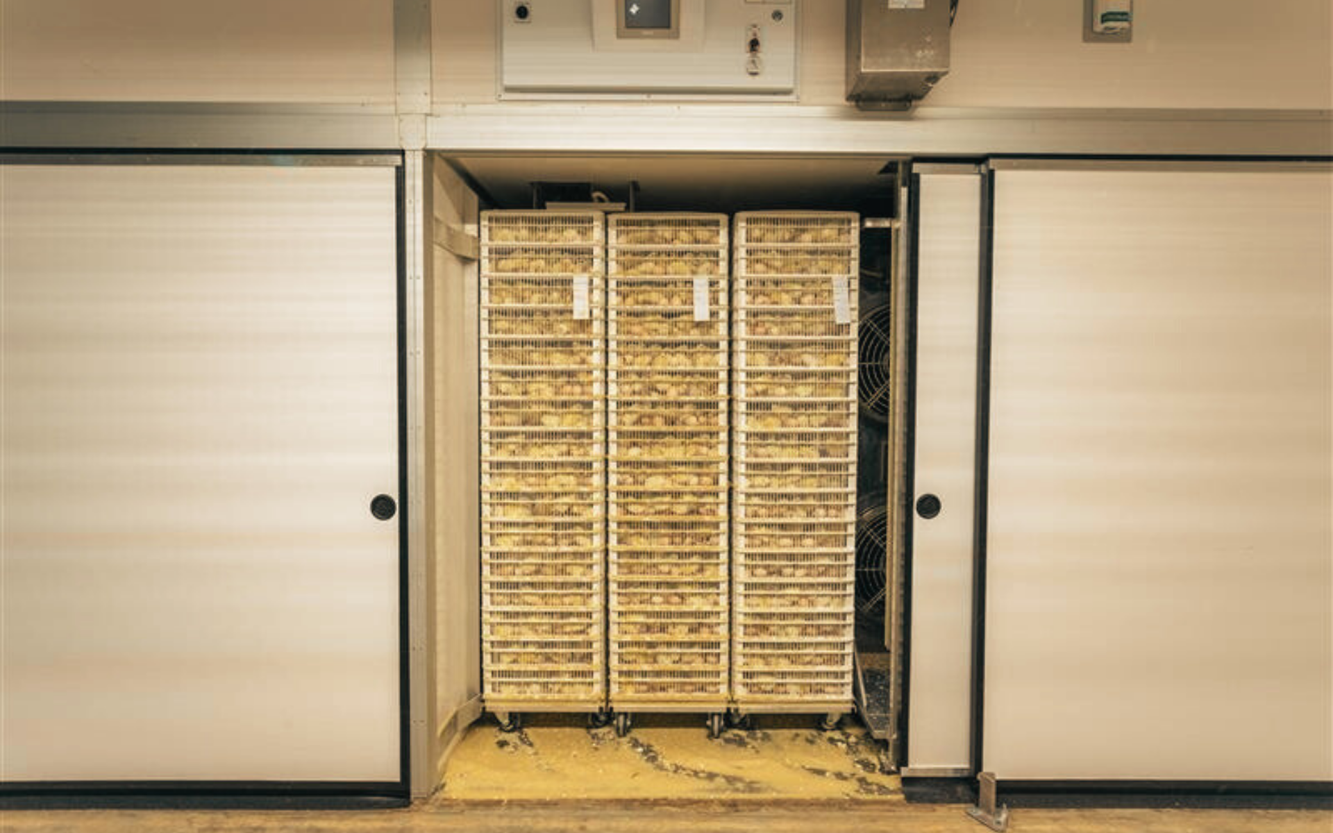 Multi Stage - The Classic