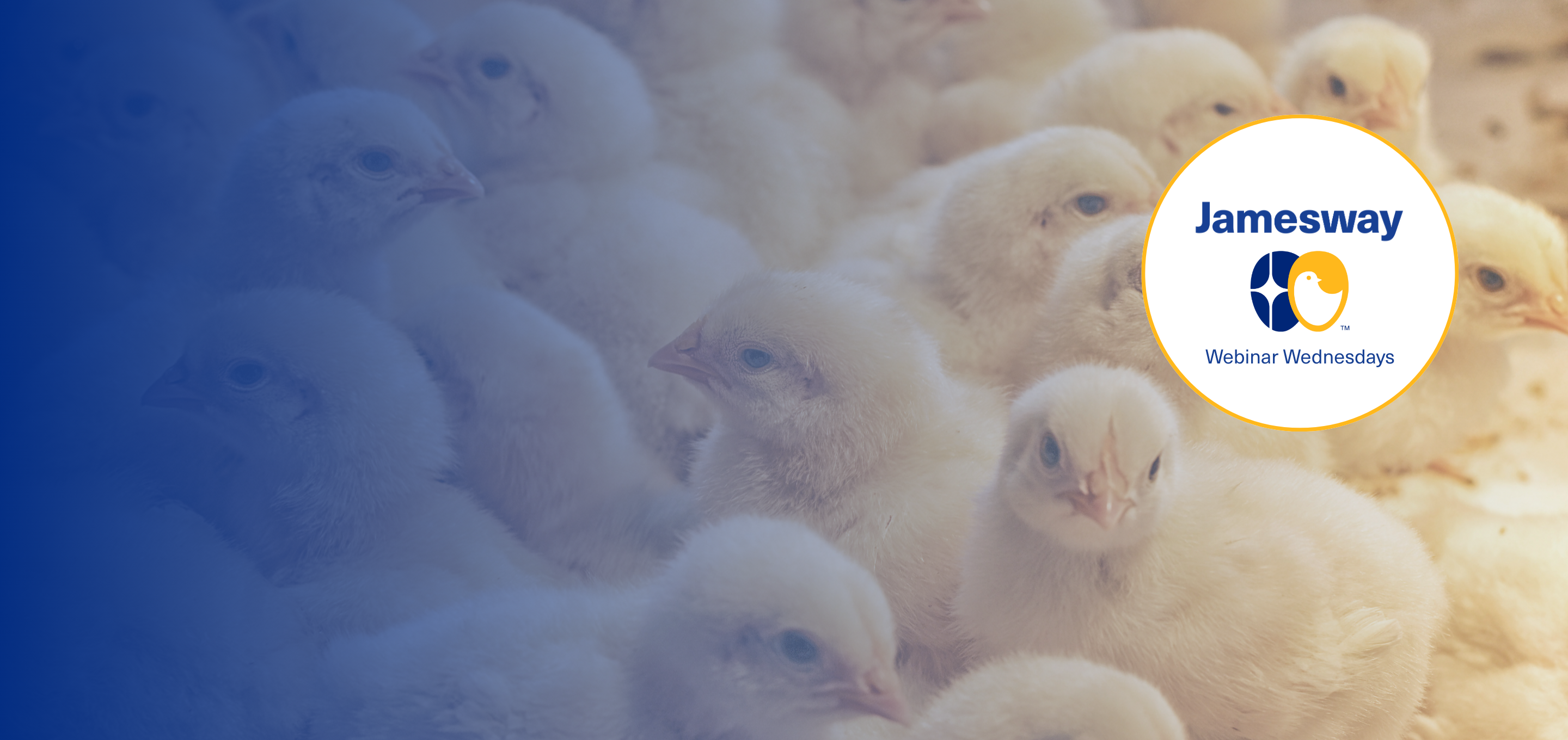 Jamesway Webinars
